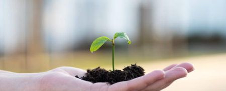 Hypnose zum Rauchfrei werden oder zum Abnehmen mit Hypnose - das Honorar der Sitzung im Hypnosestudio von Fuchs-Hypnose in Bad Saulgau